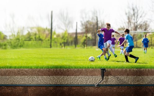 Hero Kampagne Perfekter Rasen – Perfektes Spiel