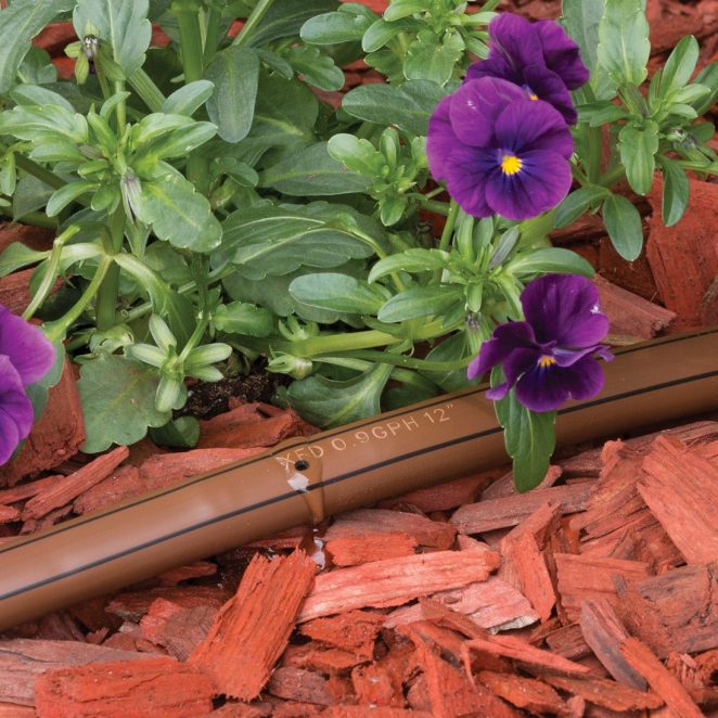 Tropferrohr im Blumenbeet