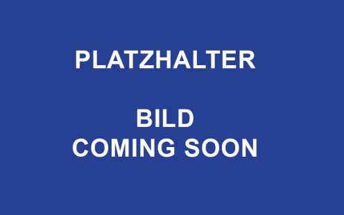 Platzerhalter