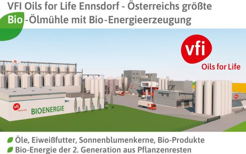 Grafik Ölmühle Ennsdorf II